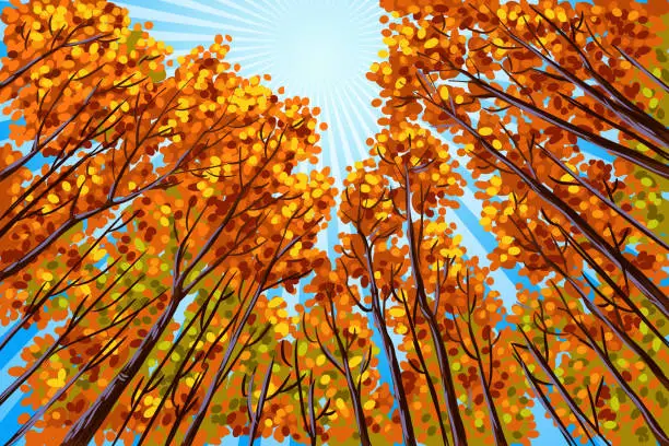 Vector illustration of Beautiful Autumn Landscape