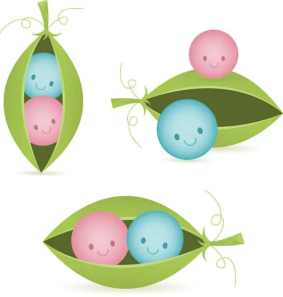 Vector illustration of Two Peas in a Pod