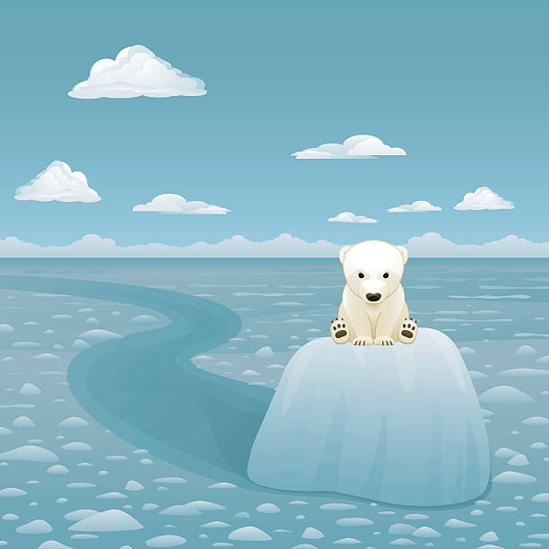 Baby Polar Bear On Melting Glacier Stock Illustration - Download Image Now - Polar Bear, Blue, Sadness - iStock Baby Polar Bear On Melting Glacier Stock Illustration - Download Image Now - Polar Bear, Blue, Sadness - iStock