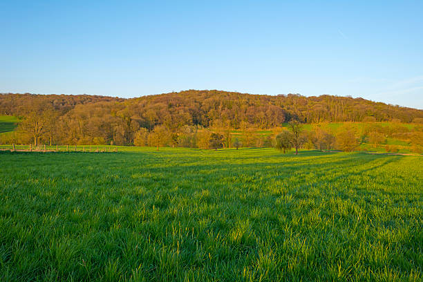 istock Sunlight over over a hill under a hazy blue sky 472290590