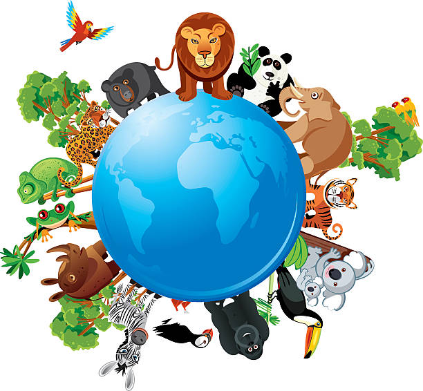 ilustrações, clipart, desenhos animados e ícones de animais do mundo - tiger lion leopard cartoon