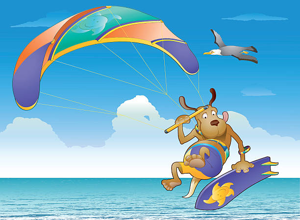 kite surfing pokaż - lifestyle sports and fitness travel locations water stock illustrations