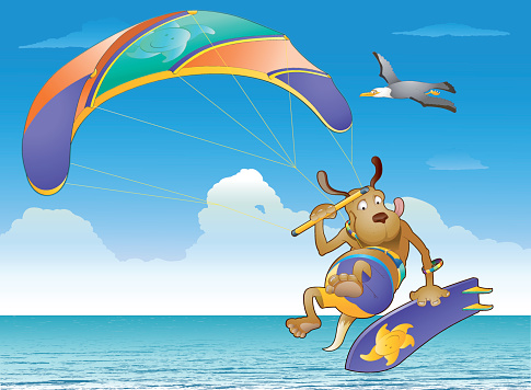 Kite Surfing Show