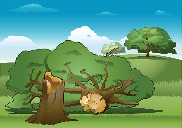 ilustrações de stock, clip art, desenhos animados e ícones de árvore caída - cutting tree moving down bark