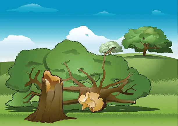 Vector illustration of Fallen tree