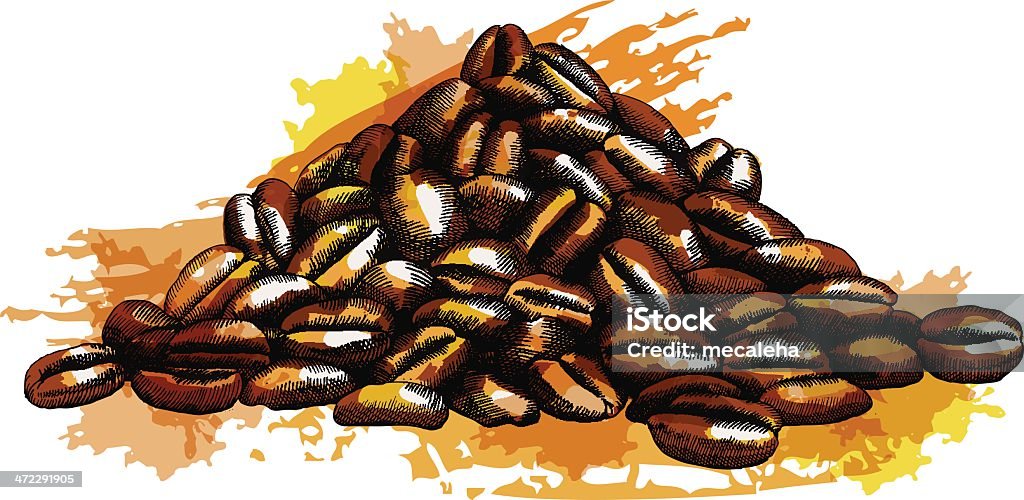 Coffee Beans - Векторная графика Акварельная живопись роялти-фри