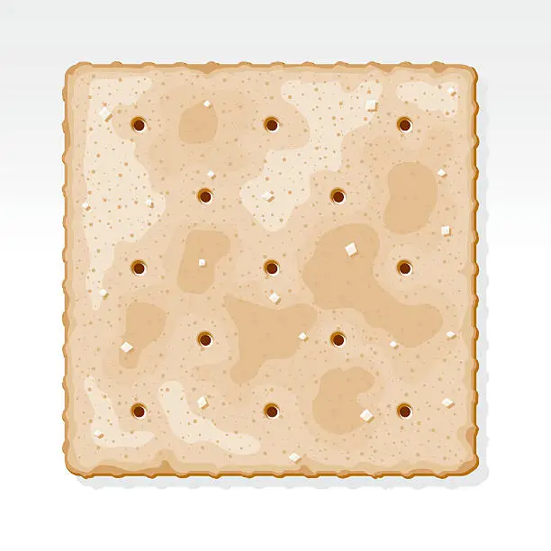 Vector illustration of Saltine Cracker