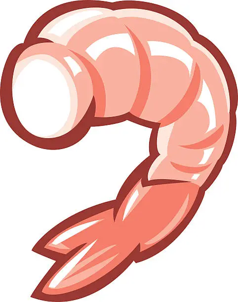 Vector illustration of shrimp