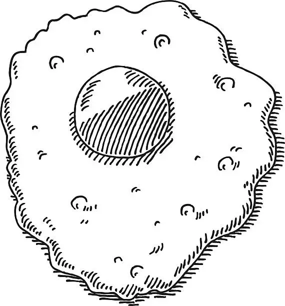 Vector illustration of Fried Egg Drawing