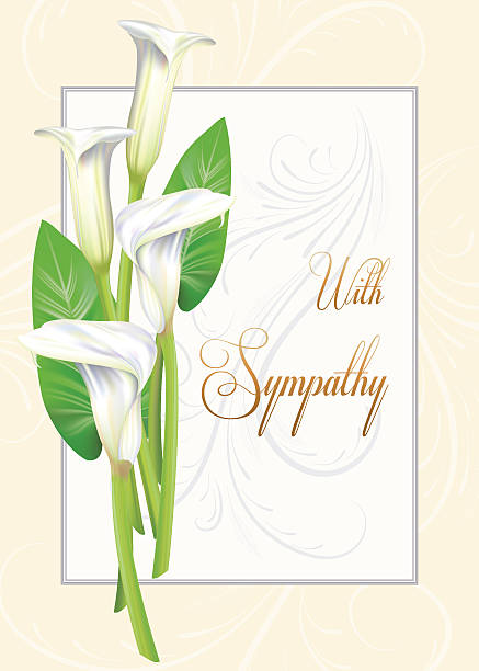 Calla Lily Sympathy Card Calla Lily Sympathy Card consoling stock illustrations