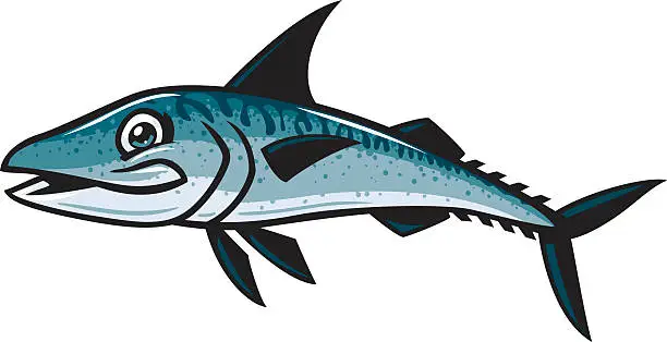 Vector illustration of mackerel