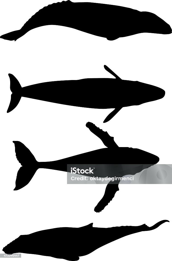 鯨 - クジラのロイヤリティフリーベクトルアート