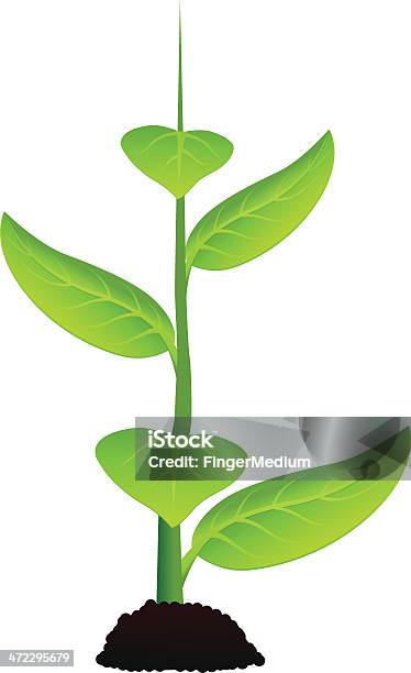 Planta De - Arte vetorial de stock e mais imagens de Agricultura - Agricultura, Botânica - Ciência de plantas, Botão - Estágio de flora