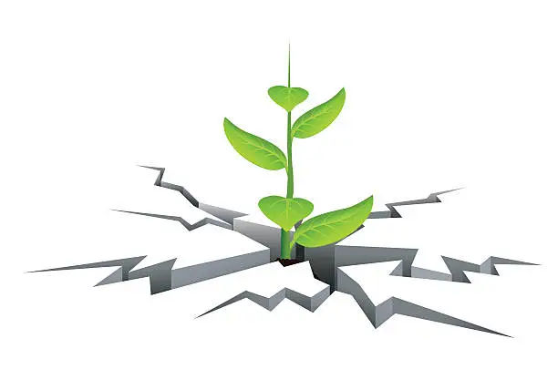 Vector illustration of Growth sprout