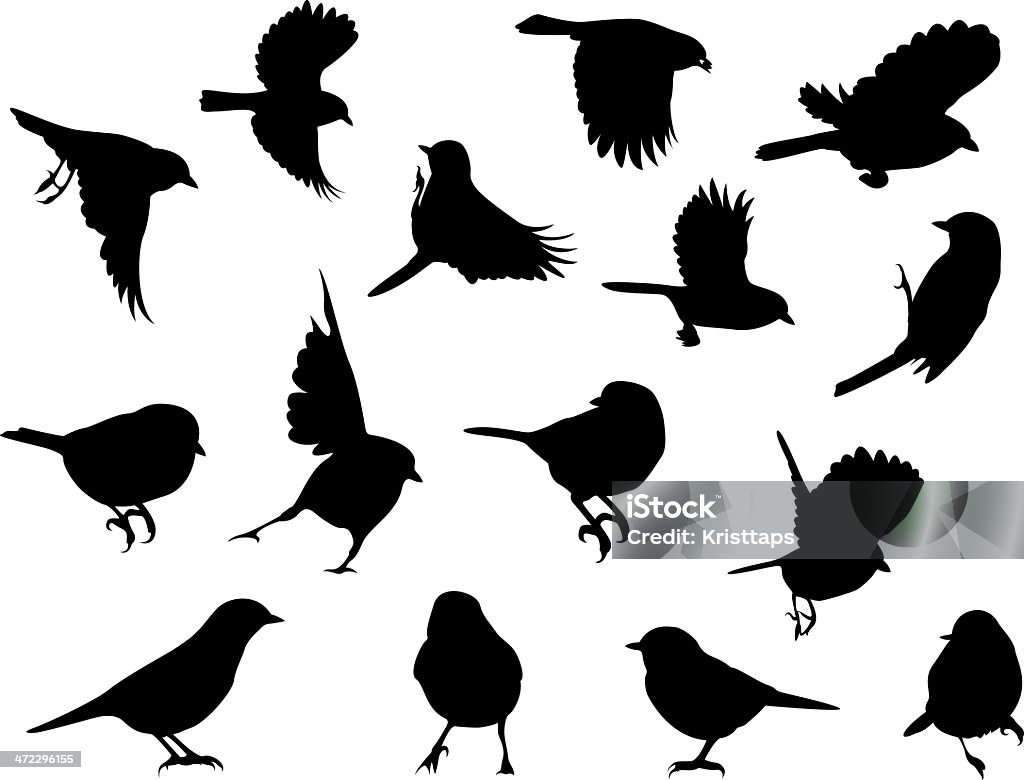 Silhouettes – Birds EPS Bird stock vector