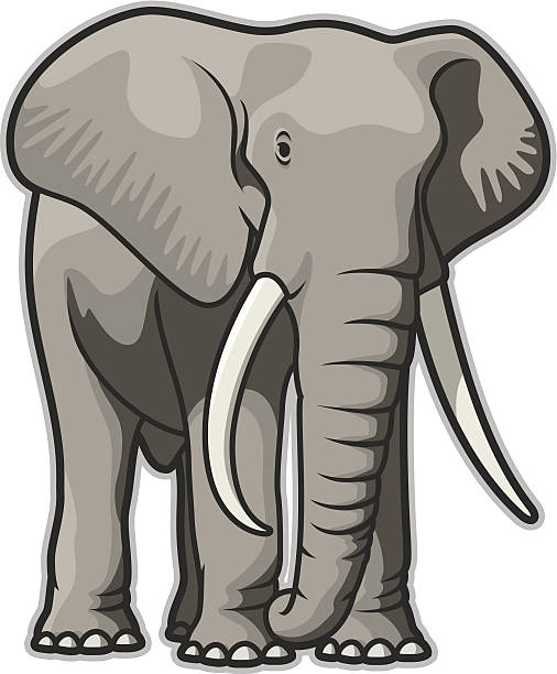 ilustraciones, imágenes clip art, dibujos animados e iconos de stock de elefante - tusk