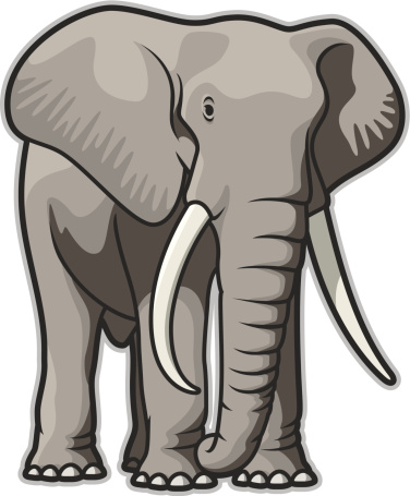 Illustration of a bull elephant. File is organized into layers and download includes: JPG, EPS, PDF formats.
