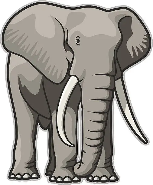 Vector illustration of Elephant