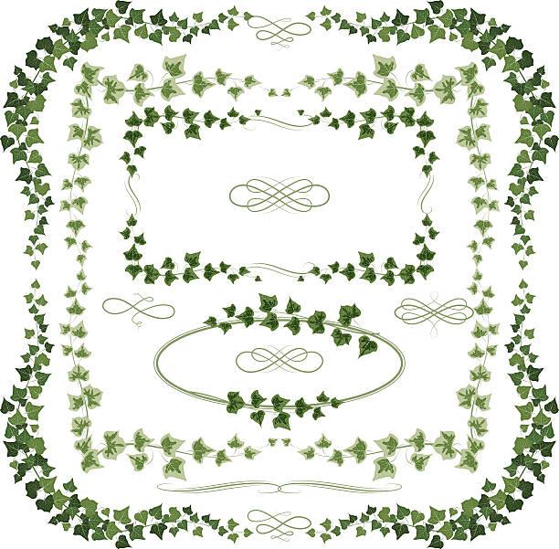 плющ оправе - ivy vine leaf frame stock illustrations