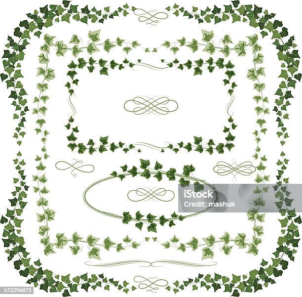 Плющ Оправе — стоковая векторная графика и другие изображения на тему Плющ - Плющ, Виноградовые, Векторная графика
