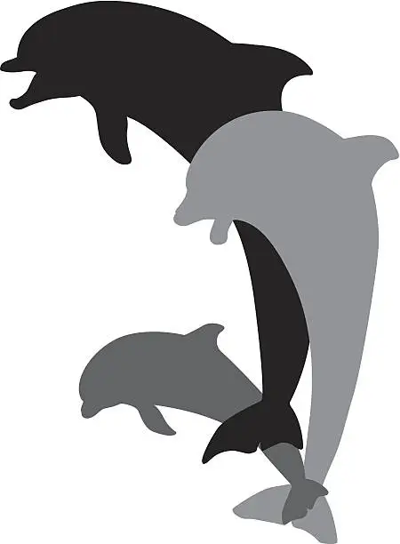 Vector illustration of Jumping dolphins
