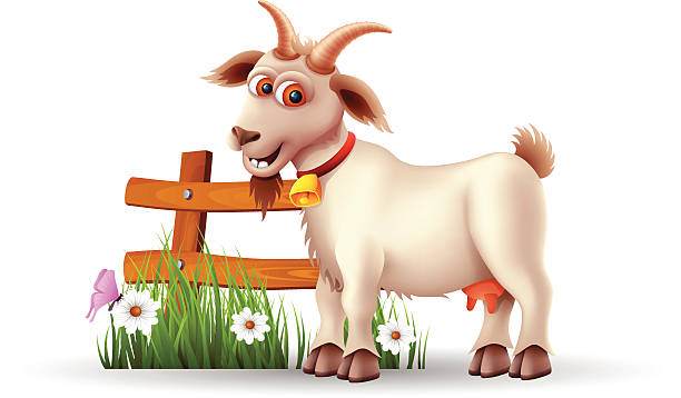 Funny Goat Stock Illustration - Download Image Now - Goat, Nanny Goat,  Cartoon - iStock