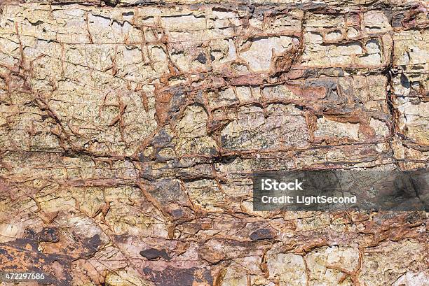 Stone Texture Erosion Stock Photo - Download Image Now - 2015, Animal Shell, Backgrounds