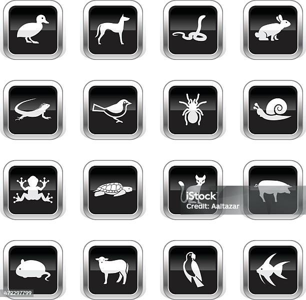 Vetores de Supergloss Preto Íconesse Animais De Estimação e mais imagens de Canário - Canário, Conjunto de ícones, Silhueta