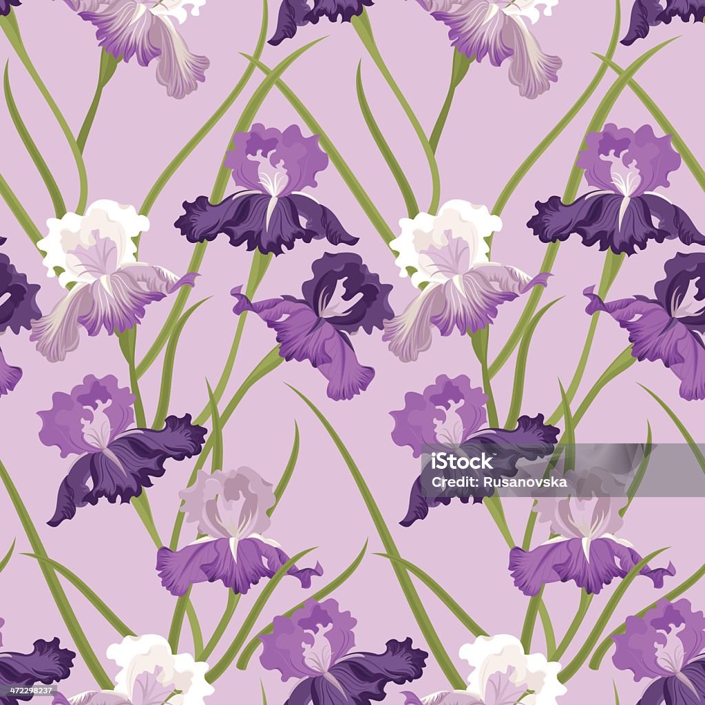 Seamless Floral Pattern (íris roxo) - Royalty-free Padrão Floral arte vetorial