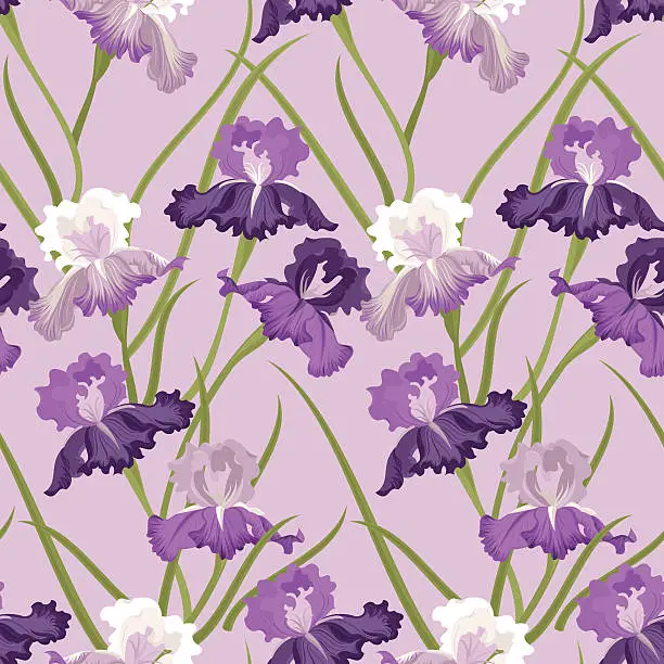 Vector illustration of Floral Seamless Pattern (Purple Iris)