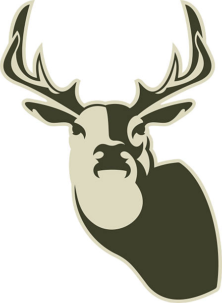 Deer Head vector art illustration
