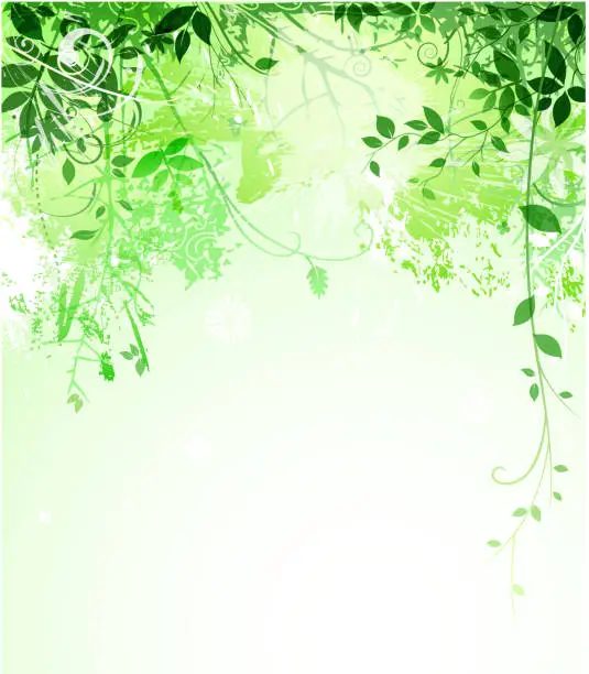 Vector illustration of green leaf backround