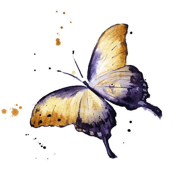 Amazing watercolor butterfly isolated on white