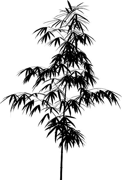 bamboo vector wonderful branch of bamboo vector silhouette chinese culture paintings bush painting stock illustrations