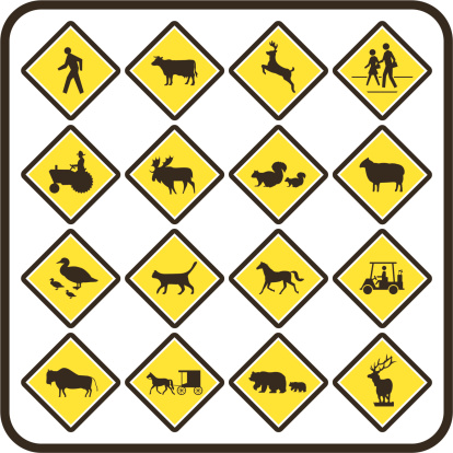Collection of U.S. Crossing Road Signs