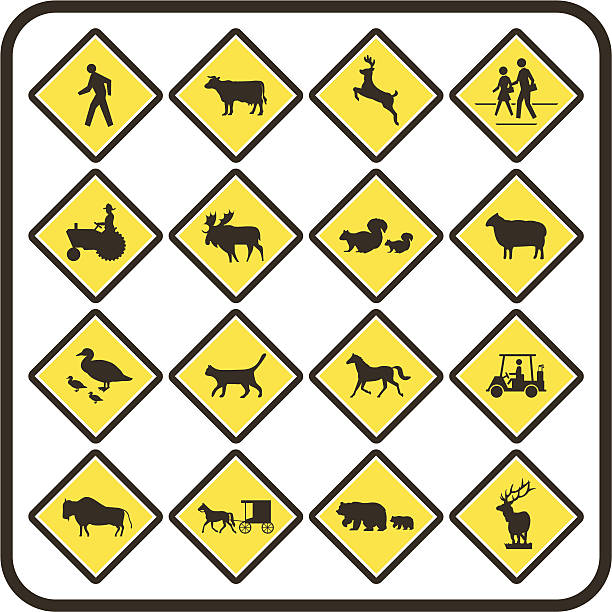 Simple U.S. Crossing Signs vector art illustration