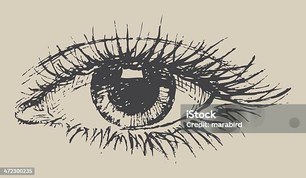 Occhio - Immagini vettoriali stock e altre immagini di Occhio - Occhio, Disegno, Illustrazione