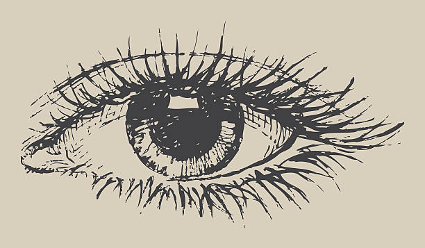 ilustrações de stock, clip art, desenhos animados e ícones de olho - close up of iris