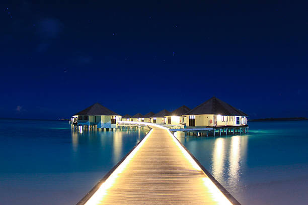 birds eye perspective of tropical beach bungalows