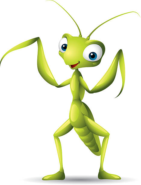 Praying Mantis - cartoon illustration of a praying mantis praying mantis stock illustrations