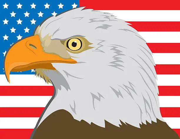 Vector illustration of Bald Eagle Head Shot with Flag