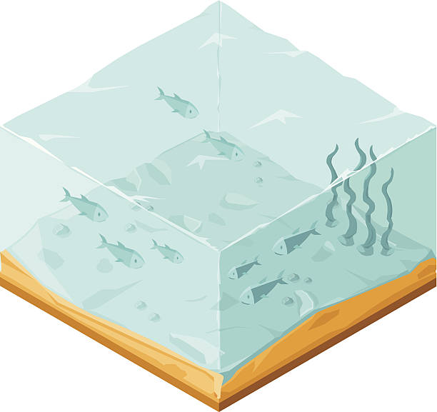 제품의 등각투영 바닷속이 풍경과 함께 고기잡이 - water water surface underwater white background stock illustrations