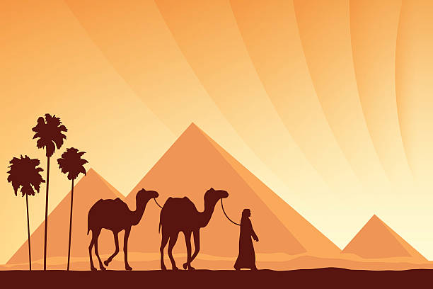 illustrazioni stock, clip art, cartoni animati e icone di tendenza di egitto grandi piramidi e cammello caravan a sfondo tramonto - egypt cairo pyramid sunset