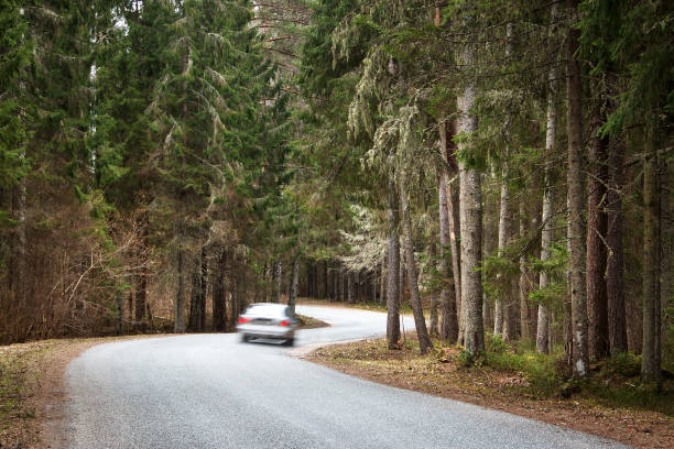 istock asphalt road in the forest 472302386