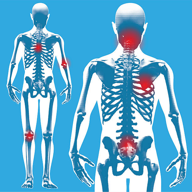 ilustrações de stock, clip art, desenhos animados e ícones de figura pé-perspectiva posterior (ponto a grelha) - cavidade nasal