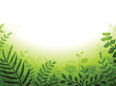 Green plant border with copy space. EPS 10 file. Transparency used on highlight elements.