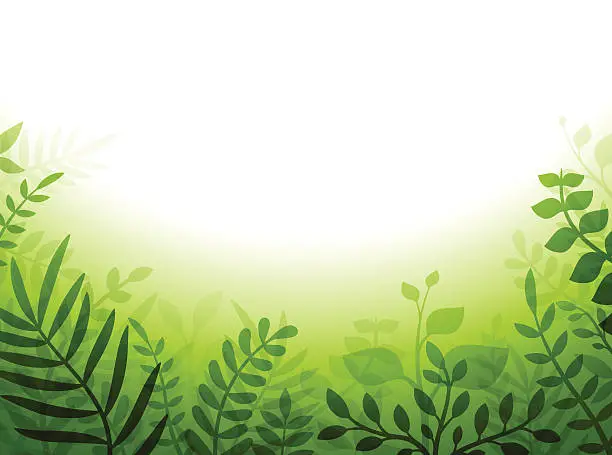 Vector illustration of Green Plant Border