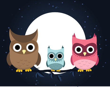Owl family perching at night, with brown owl, light blue owl and pink owl vector illustration.