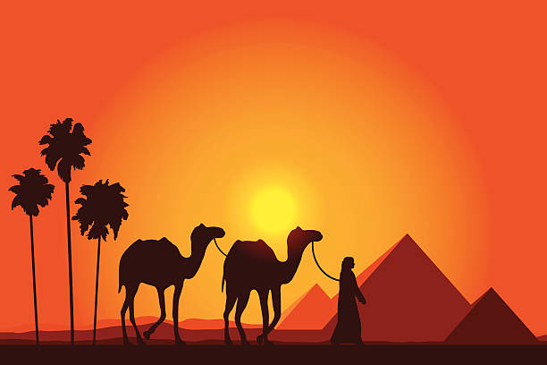 illustrazioni stock, clip art, cartoni animati e icone di tendenza di egitto grandi piramidi e cammello caravan a sfondo tramonto - egypt cairo pyramid sunset