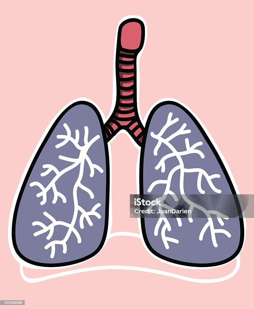 Icónico humanos pulmões - Royalty-free Anatomia arte vetorial